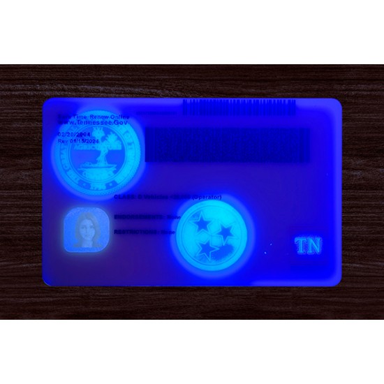 Tennessee (TN) Fake ID  (2025 Version)